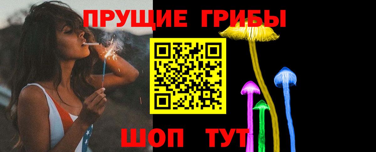 Галлюциногенные грибы Psilocybe  Вход с VPN  Королёв  Псилоцибиновые грибы мухоморы 